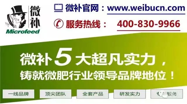 余教授奧地利維也納行：不懂音樂(lè)的農(nóng)民教授，在音樂(lè)之都的感受